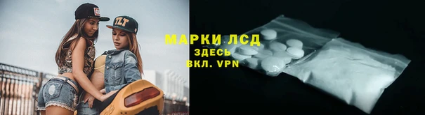 твердый Надым