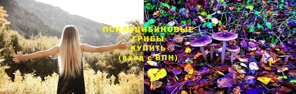 дмт Нея