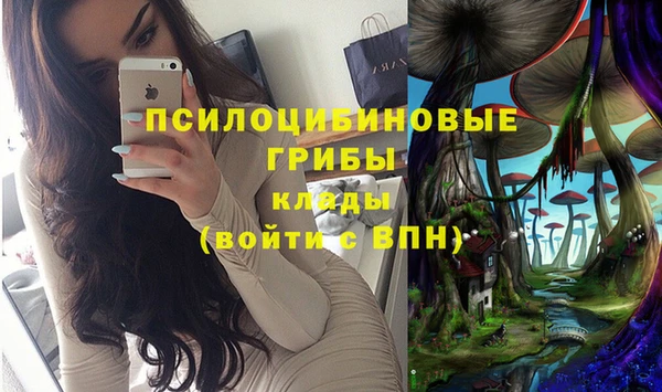 твердый Надым