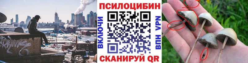 mega ССЫЛКА Партизанск это формула купить цена Псилоцибиновые грибы MAGIC MUSHROOMS