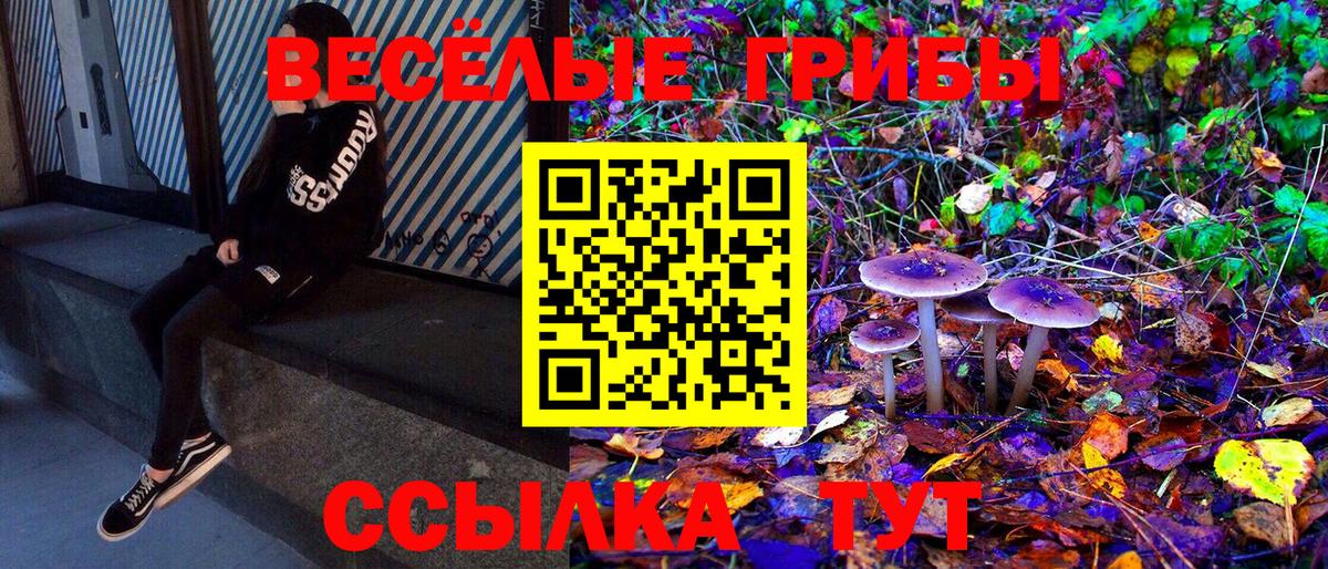 Псилоцибиновые грибы мицелий  Псилоцибиновые грибы Cubensis  Партизанск  Вход с VPN 